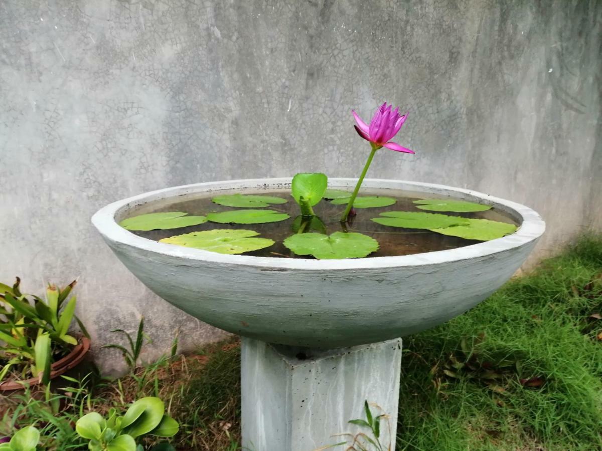 Orchid Villa #10 Hikkaduwa Εξωτερικό φωτογραφία