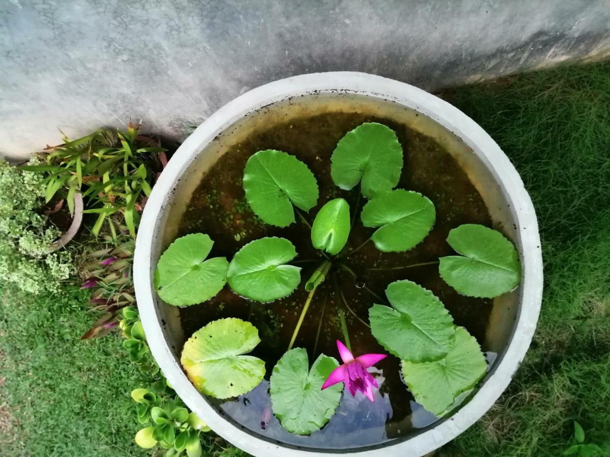 Orchid Villa #10 Hikkaduwa Εξωτερικό φωτογραφία