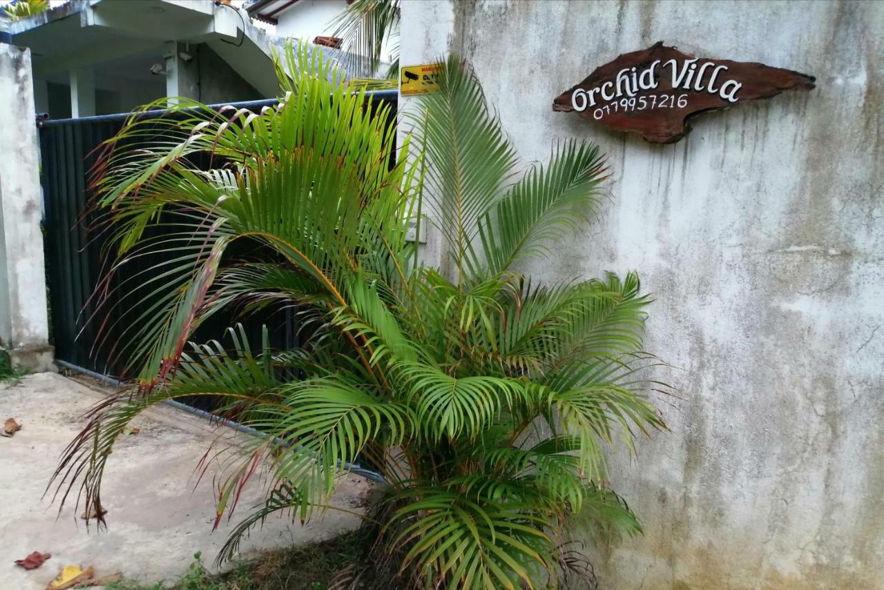 Orchid Villa #10 Hikkaduwa Εξωτερικό φωτογραφία