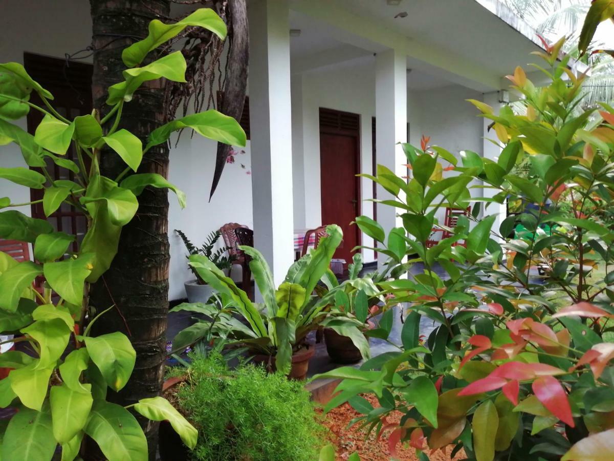 Orchid Villa #10 Hikkaduwa Εξωτερικό φωτογραφία