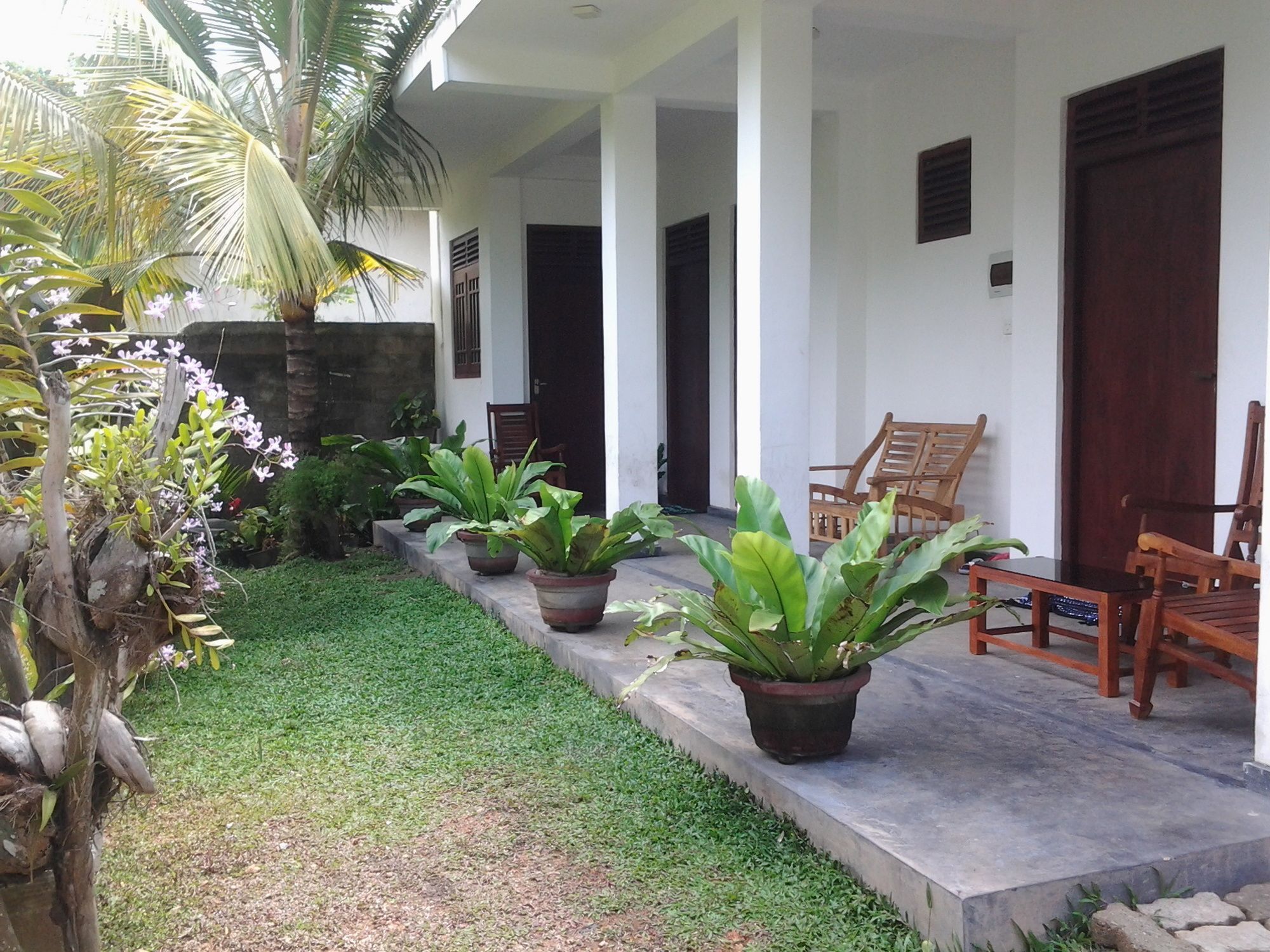 Orchid Villa #10 Hikkaduwa Εξωτερικό φωτογραφία